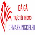 Đá Gà Trực Tiếp Thomo Profile Picture