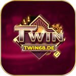 TWIN68 DE Profile Picture