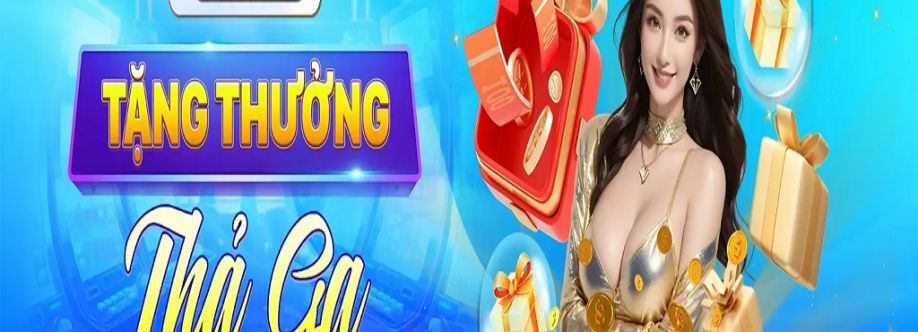 vipwin toys Cover Image