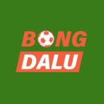 bongdaluthreehundred Profile Picture