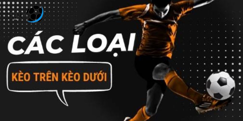 Kèo Trên Kèo Dưới Trong Bóng Đá Tại Tylekeo88