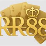 rr88u sorg Profile Picture