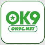 ok9c net Profile Picture