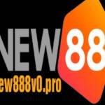 new888v0 pro Profile Picture