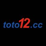 Toto 12 Profile Picture