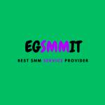 EG SMM IT Best SMM Service Provider In USA Profile Picture
