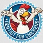 DentistForChickensweb Profile Picture
