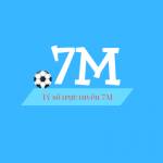 7m score Profile Picture