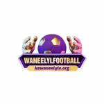 Waneelyl Football Profile Picture