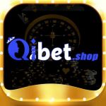 qibetshop Profile Picture