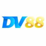 DV88 CLOUD Profile Picture