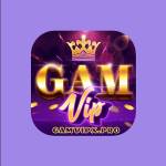 GamVip Profile Picture
