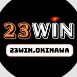 23win okinawa Profile Picture