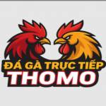 Đá gà trực tiếp Thomo Profile Picture