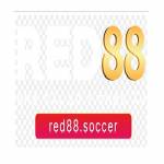 red88so ccer Profile Picture