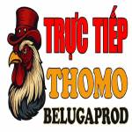 ĐÁ GÀ TRỰC TIẾP THOMO HÔM NAY Profile Picture