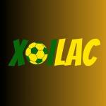 zipgeniuscom gia mao Profile Picture