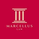 Marcellus Law Profile Picture