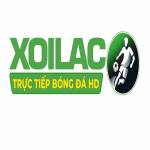 festivalforthefutureco die web Profile Picture