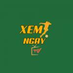 Xem Ngay Tv profile picture