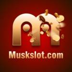 muskslotnetbr Profile Picture
