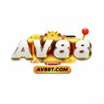 av88t Profile Picture