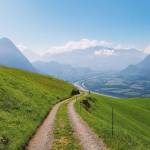 lawrence stephen Profile Picture