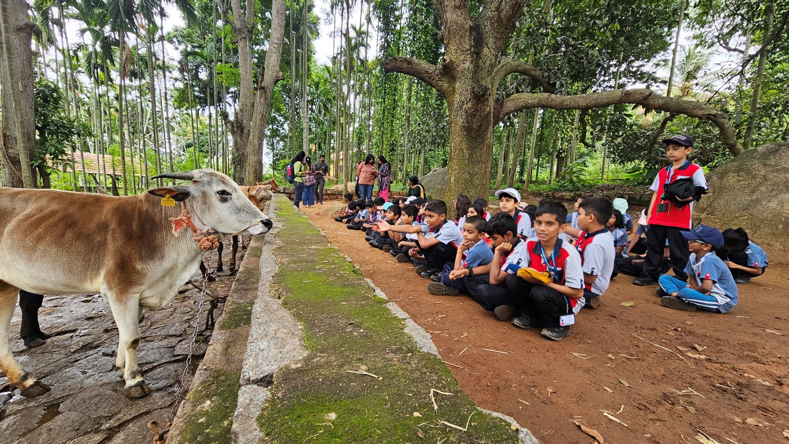 Top Kid-Friendly Farm Experiences Near Bangalore Within 50 km - Big Barn