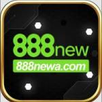 888newa com Profile Picture