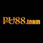PU88 Profile Picture