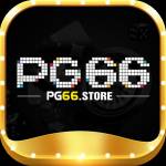 pg66 store Profile Picture