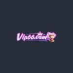 VIP66 Profile Picture
