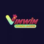 VINWIN Profile Picture