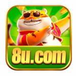 8ugamecombr Profile Picture