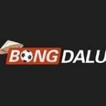 Nhà cái Bongdalu Profile Picture