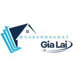 Mua bán nhà đất Gia Lai Profile Picture