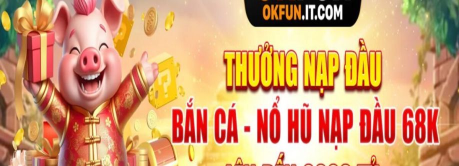 OKFUN Cover Image