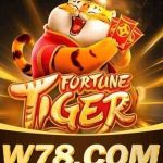 W78 Game Sua Plataforma Completa Profile Picture