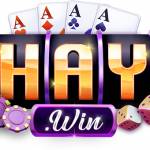 1Haywin tech Profile Picture