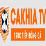 indigenascovid19 red is fake Profile Picture