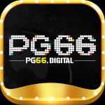 pg66 digitla Profile Picture