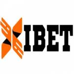 Nhà cái XIBET Profile Picture