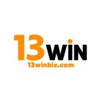 13winbiz Com Profile Picture