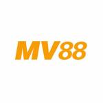 qmv88com Profile Picture