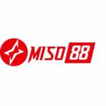miso88 Profile Picture