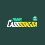 Trangcadobongda7777 Com Profile Picture