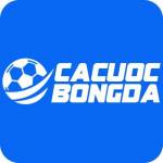 Cá Cược Bóng Đá Profile Picture