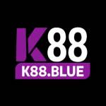 k88blue Profile Picture