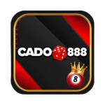 CADO888 Nha Uy Tin Hang Dau Viet Nam Profile Picture