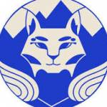Bobcat Cleans Service Profile Picture
